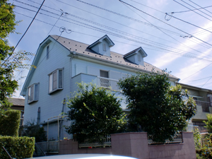 �h���{�H�O