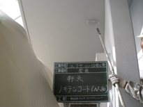 ���V��̓h��2